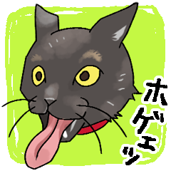 [LINEスタンプ] 俺様暮らしの黒猫