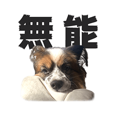 [LINEスタンプ] コロカスくん