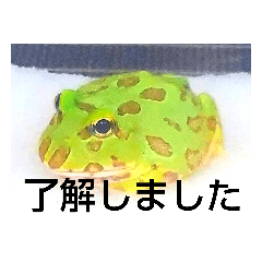 [LINEスタンプ] ベルツノ ペパーミントさん1