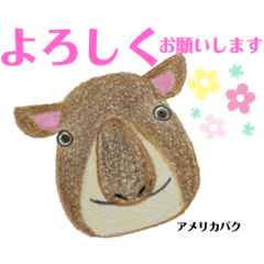 [LINEスタンプ] nanda zoo cookies 「よろしく」のみ。
