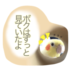 [LINEスタンプ] インコのすたんぷ