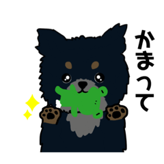 [LINEスタンプ] ポメチーのチャマくんとカエルン