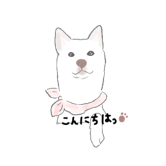 [LINEスタンプ] 可愛いわんこのお友達