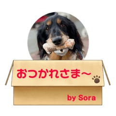 [LINEスタンプ] そらの日常 part4