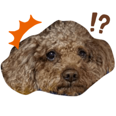 [LINEスタンプ] チョコ＿スタンプ