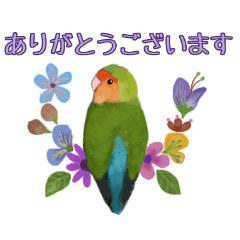 [LINEスタンプ] kikiの小鳥スタンプ・イラスト編2