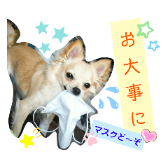 [LINEスタンプ] ナナちゃんスタンプ【よく使うワン②】