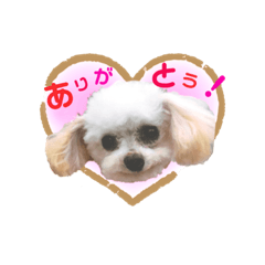 [LINEスタンプ] ここちゃんかわいいねスタンプ