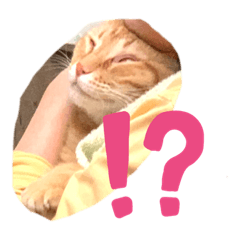 [LINEスタンプ] ゴンとチビ