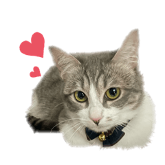 [LINEスタンプ] 小町3