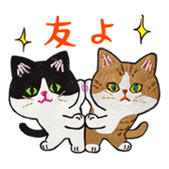 [LINEスタンプ] ハチワレ猫とおともだちニャンコ