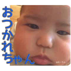 [LINEスタンプ] おーちゅのつぶやき