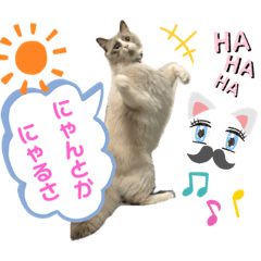 [LINEスタンプ] みるくとまめ