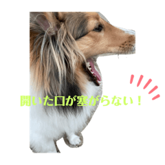 [LINEスタンプ] 蓮華さんの日常