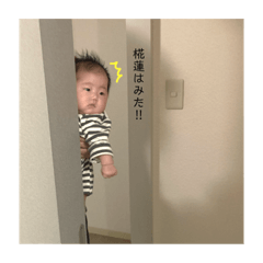 [LINEスタンプ] 椛蓮スタンプ