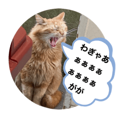 [LINEスタンプ] 猫六天王あらわる