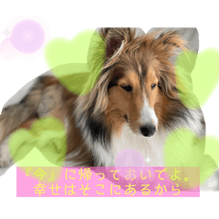 [LINEスタンプ] 蓮華さんの日常です
