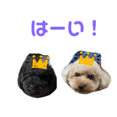 [LINEスタンプ] ふわふわ財閥2