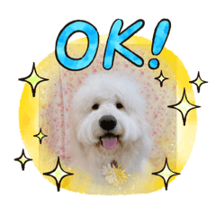 [LINEスタンプ] チャーリーの部屋2
