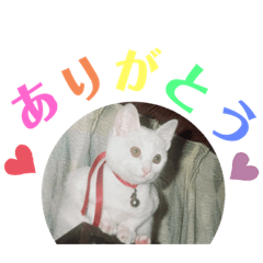 [LINEスタンプ] Pちゃんとはっちゃん