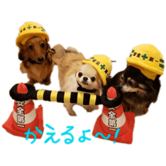 [LINEスタンプ] Babyわんこの日常2