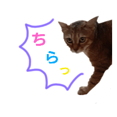 [LINEスタンプ] おわぞうすたんぷ