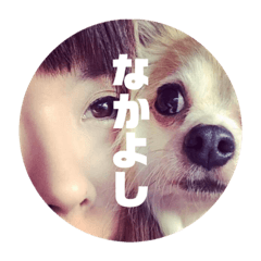[LINEスタンプ] うちのちょびさん2