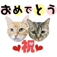 [LINEスタンプ] モモ＆レモン♪