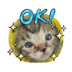 [LINEスタンプ] R＆G猫犬レスキュースタンプ