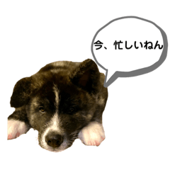 [LINEスタンプ] スタンプ104
