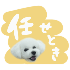 [LINEスタンプ] てま角ほぼ讃岐弁2