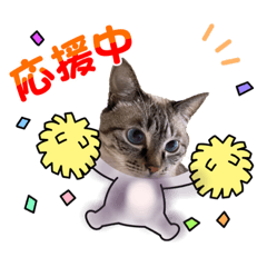 [LINEスタンプ] ビコちゃんスタンプ