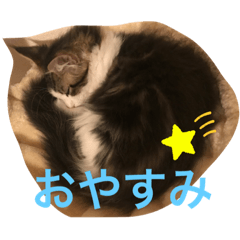 [LINEスタンプ] リアルペコくん