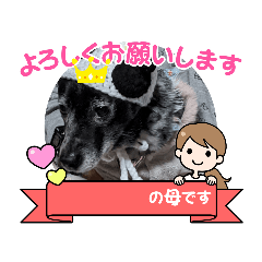 [LINEスタンプ] niyukki