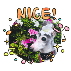 [LINEスタンプ] love.lily2