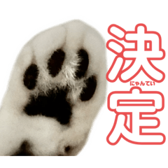 [LINEスタンプ] ぺぺさんの承諾