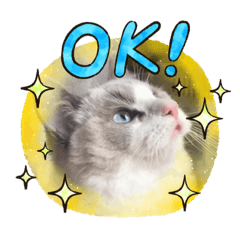[LINEスタンプ] のえちゃんスタンプ❗