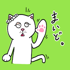 [LINEスタンプ] 泉ねこ(senneko)