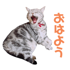 [LINEスタンプ] もも姫の日常スタンプ3