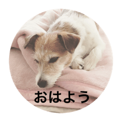 [LINEスタンプ] ホップドッグワンツー