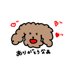 [LINEスタンプ] 関西弁 トイプードル (挨拶とおねだり)