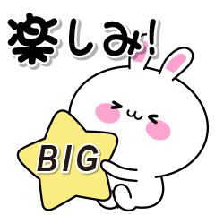 [LINEスタンプ] 日常ほのぼの白うさぎ BIGスタンプ1♡