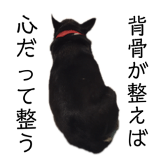 [LINEスタンプ] 中二病整体師の犬
