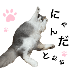 [LINEスタンプ] ru-tan ponponの画像（メイン）