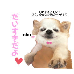 [LINEスタンプ] ロビン君スタンプ