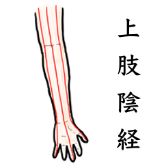 [LINEスタンプ] 鍼灸師用！上肢陰経ツボ