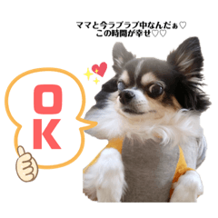 [LINEスタンプ] Reo君スタンプ