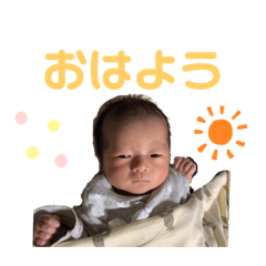 [LINEスタンプ] あおはのスタンプ。