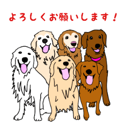 [LINEスタンプ] レッドなゴールデンレトリバーの毎日