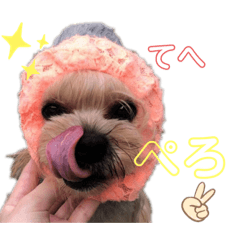 [LINEスタンプ] ヨーキーとトイプーPart2